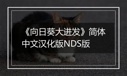 《向日葵大进发》简体中文汉化版NDS版