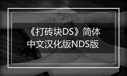 《打砖块DS》简体中文汉化版NDS版