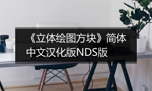 《立体绘图方块》简体中文汉化版NDS版