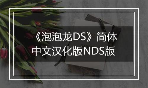 《泡泡龙DS》简体中文汉化版NDS版
