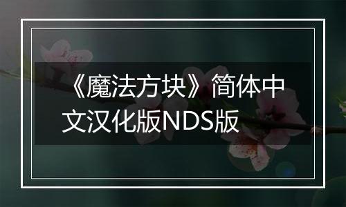 《魔法方块》简体中文汉化版NDS版