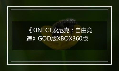 《KINECT索尼克：自由竞速》GOD版XBOX360版