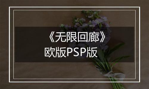 《无限回廊》欧版PSP版