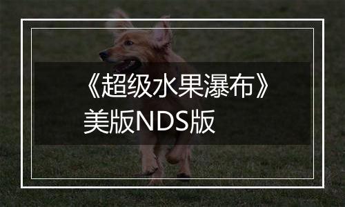 《超级水果瀑布》 美版NDS版