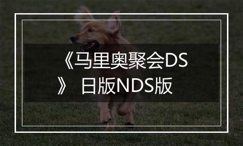《马里奥聚会DS》 日版NDS版