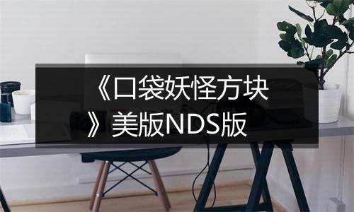 《口袋妖怪方块》美版NDS版