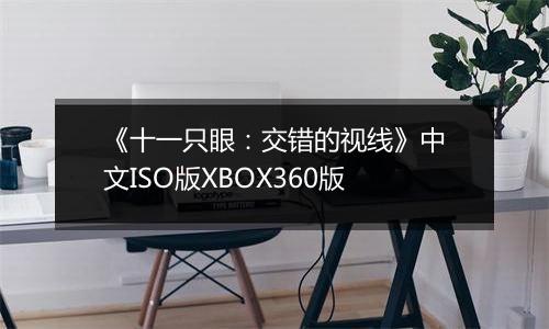 《十一只眼：交错的视线》中文ISO版XBOX360版