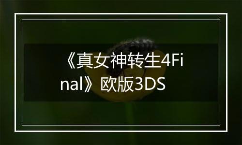 《真女神转生4Final》欧版3DS