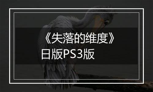 《失落的维度》日版PS3版
