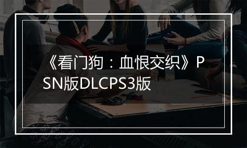 《看门狗：血恨交织》PSN版DLCPS3版