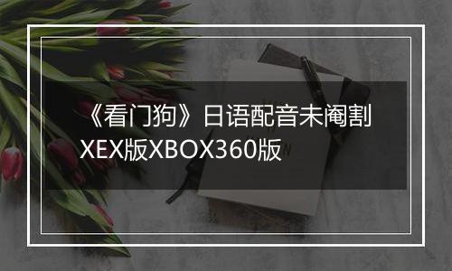 《看门狗》日语配音未阉割XEX版XBOX360版