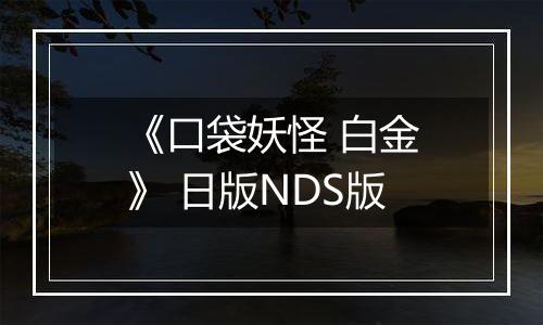 《口袋妖怪 白金》 日版NDS版