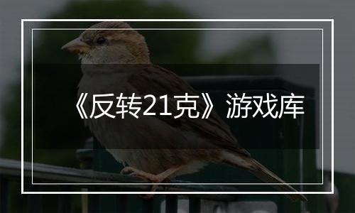 《反转21克》游戏库