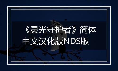 《灵光守护者》简体中文汉化版NDS版