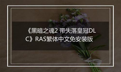 《黑暗之魂2 带失落皇冠DLC》RAS繁体中文免安装版