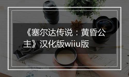 《塞尔达传说：黄昏公主》汉化版wiiu版