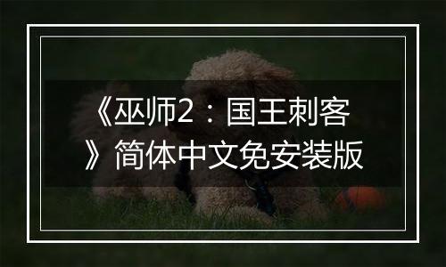 《巫师2：国王刺客》简体中文免安装版