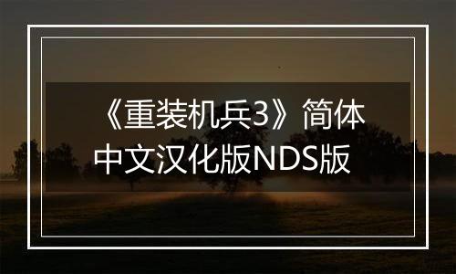 《重装机兵3》简体中文汉化版NDS版