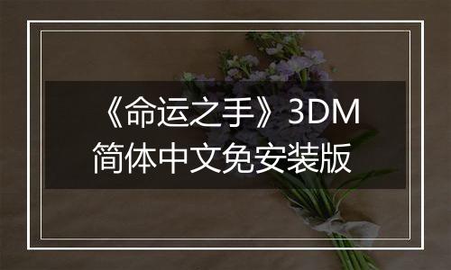 《命运之手》3DM简体中文免安装版
