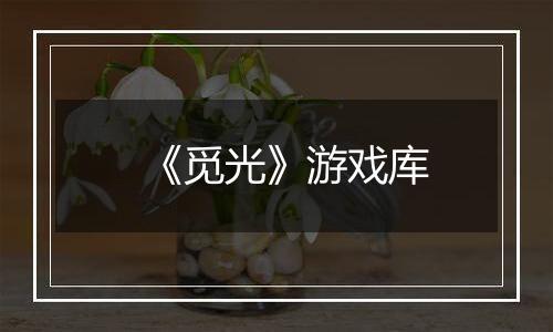 《觅光》游戏库