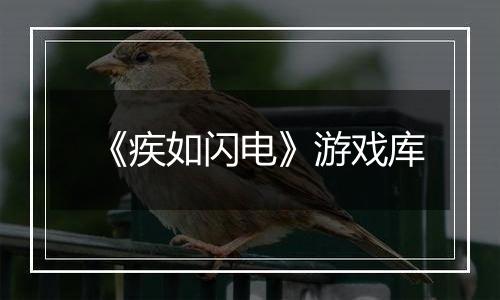 《疾如闪电》游戏库