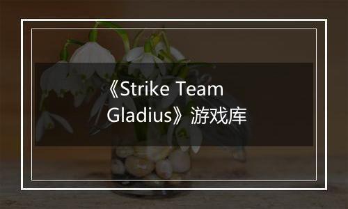《Strike Team Gladius》游戏库