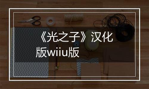《光之子》汉化版wiiu版