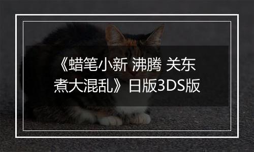 《蜡笔小新 沸腾 关东煮大混乱》日版3DS版