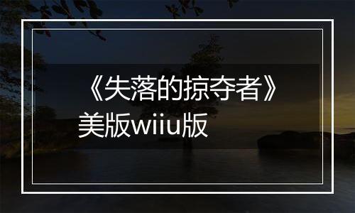 《失落的掠夺者》美版wiiu版