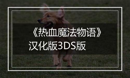 《热血魔法物语》汉化版3DS版