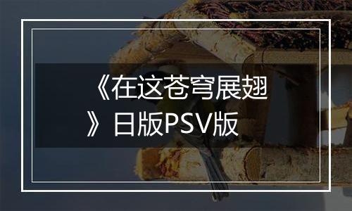 《在这苍穹展翅》日版PSV版