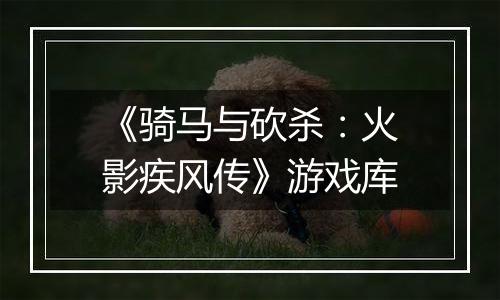 《骑马与砍杀：火影疾风传》游戏库