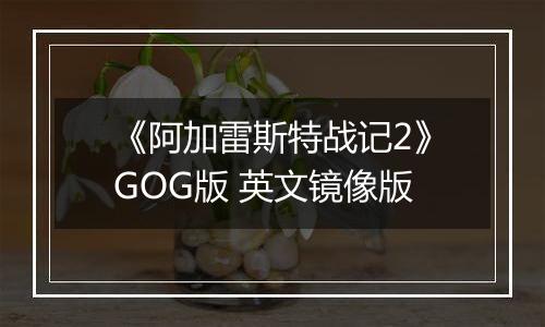 《阿加雷斯特战记2》GOG版 英文镜像版