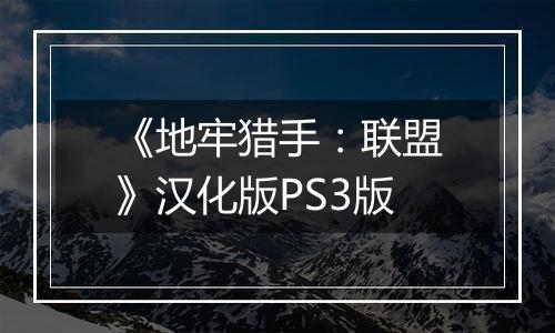 《地牢猎手：联盟》汉化版PS3版