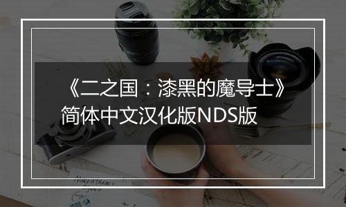 《二之国：漆黑的魔导士》简体中文汉化版NDS版