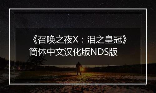 《召唤之夜X：泪之皇冠》简体中文汉化版NDS版