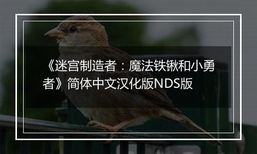 《迷宫制造者：魔法铁锹和小勇者》简体中文汉化版NDS版