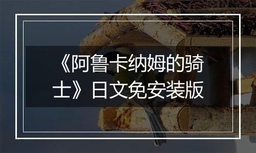 《阿鲁卡纳姆的骑士》日文免安装版