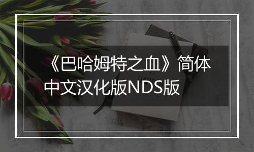 《巴哈姆特之血》简体中文汉化版NDS版