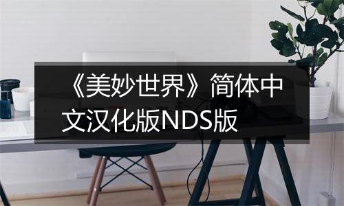 《美妙世界》简体中文汉化版NDS版