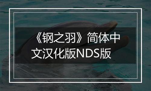 《钢之羽》简体中文汉化版NDS版