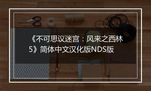 《不可思议迷宫：风来之西林5》简体中文汉化版NDS版
