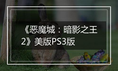 《恶魔城：暗影之王2》美版PS3版
