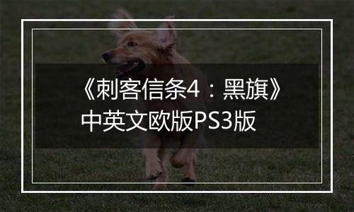 《刺客信条4：黑旗》 中英文欧版PS3版