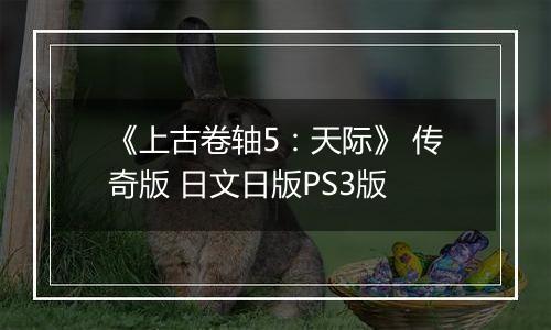 《上古卷轴5:天际》 传奇版 日文日版PS3版