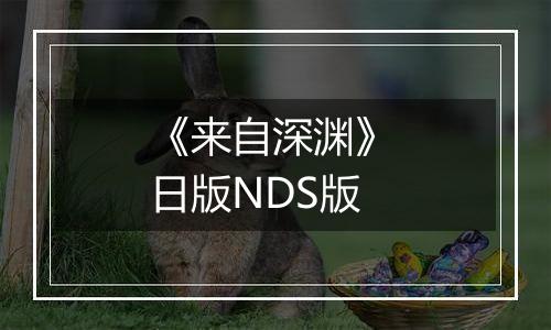 《来自深渊》 日版NDS版