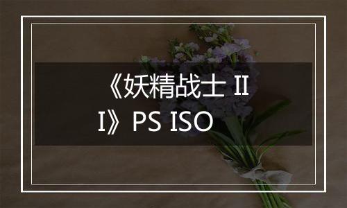 《妖精战士 III》PS ISO