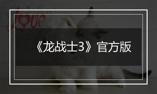 《龙战士3》官方版