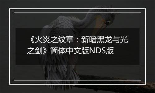 《火炎之纹章：新暗黑龙与光之剑》简体中文版NDS版