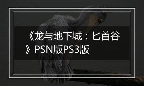 《龙与地下城：匕首谷》PSN版PS3版